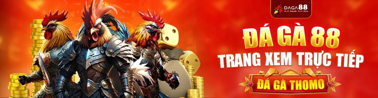 Hình ảnh chính Chương Trình VIP 247asia win