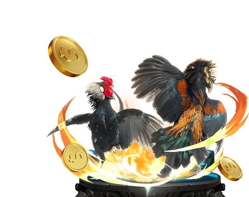 Chương Trình Hoàn Trả Tiền Cược 247asia win